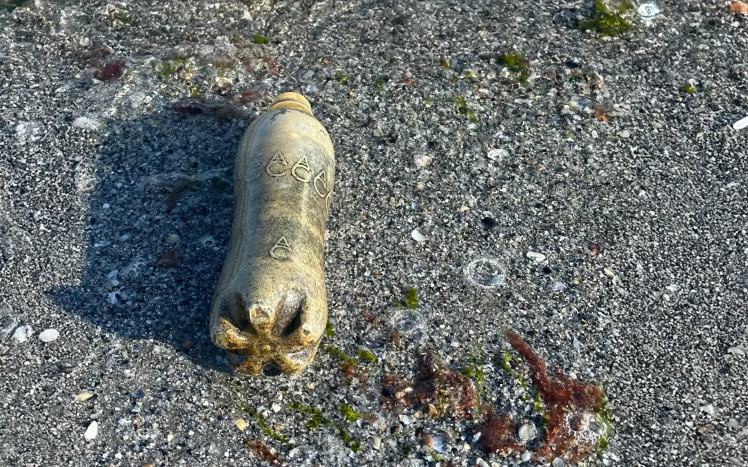 Plastic is not fantastic… for environment