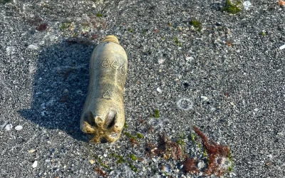 Plastic is not fantastic… for environment